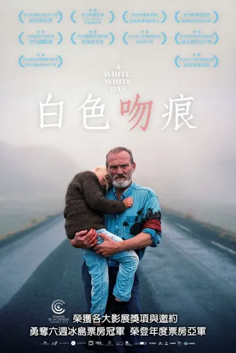 白色，白色的一天海报