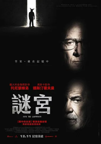 迷宫中的人海报