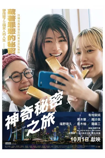 奇幻秘密之旅海报