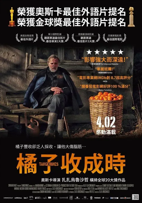 金橘海报