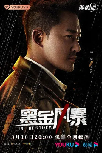 黑金风暴海报
