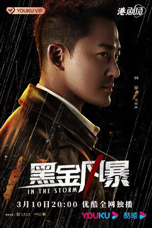 黑金风暴海报