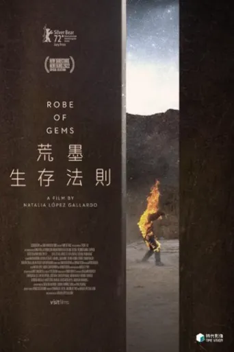 宝石长袍海报
