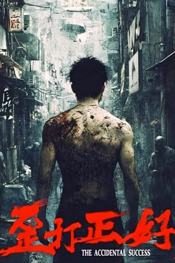歪打正好海报