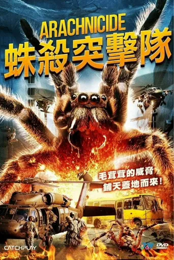 狙击蜘蛛巢海报