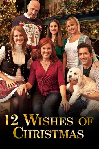 12 Christmas Wishes for My Dog海报