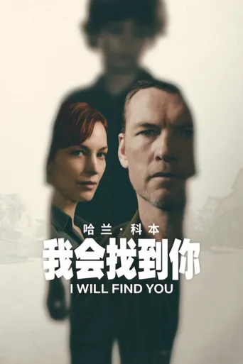 我会找到你海报