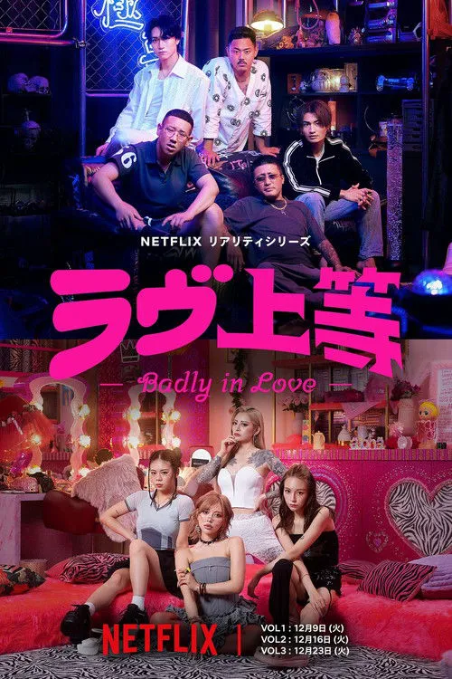 不良一族寻爱记海报