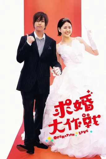 求婚大作战海报